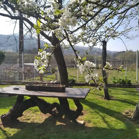 Aboucina * Ποντεβέντρα