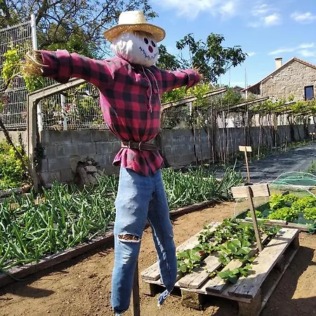 Aboucina Διαμέρισμα *