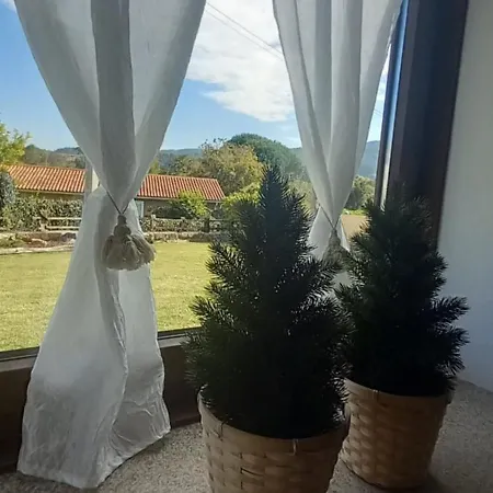 Aboucina * Pontevedra