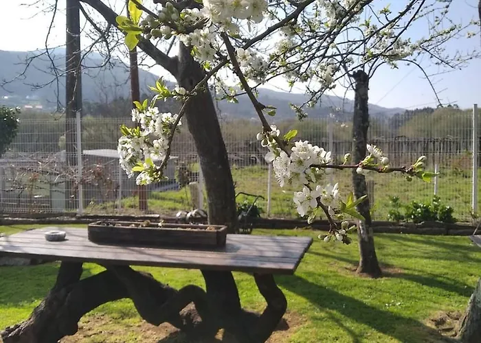 Aboucina * Pontevedra