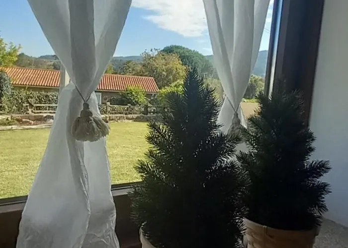 Aboucina * Pontevedra