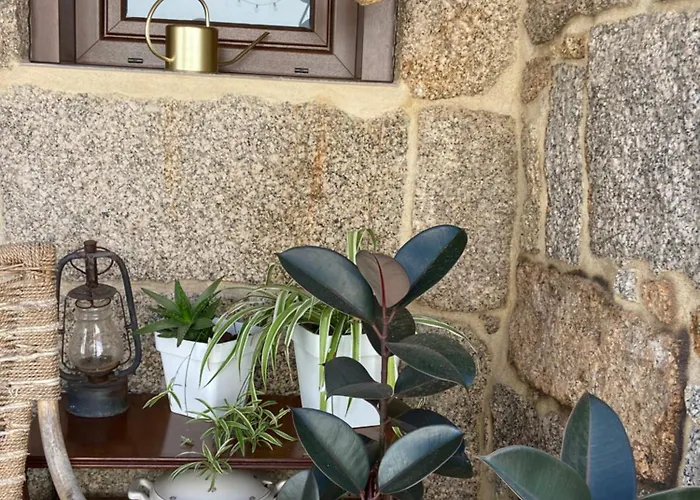 Aboucina * Pontevedra